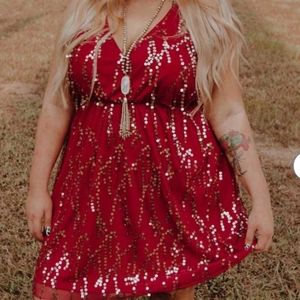 NEW SOUTHERN FRIED CHICS DRESS